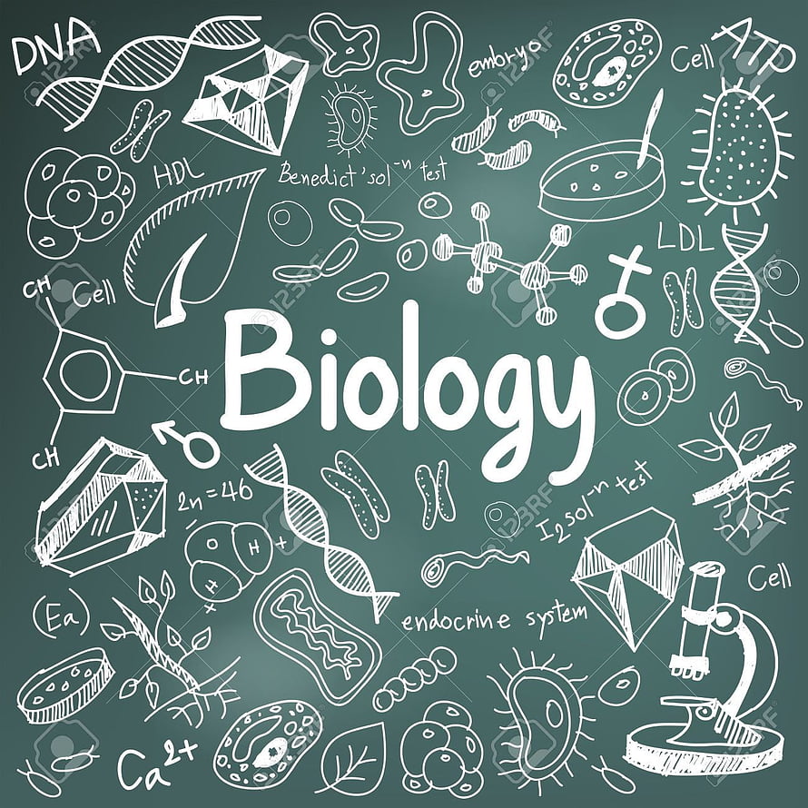 Hand-drawn biology doodles on a chalkboard with DNA, cells, microscope, and scientific terms HD phone wallpaper