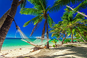 White rope hammock strung between palm trees on a tropical beach with turquoise ocean water HD wallpaper