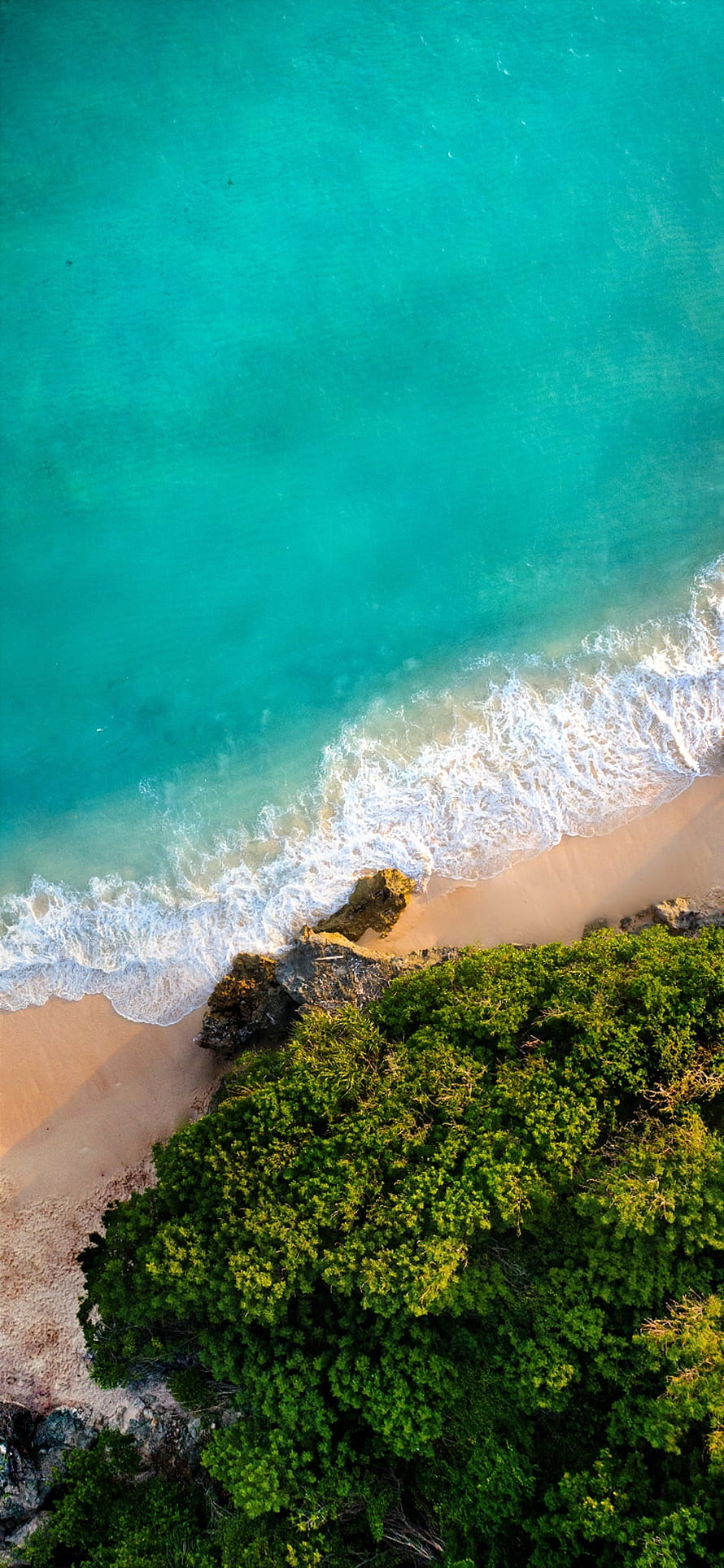 Aerial View of Turquoise Ocean Waves Lapping Against a Sandy Beach and Lush Green Foliage HD phone wallpaper