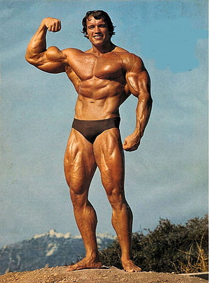 Arnold Schwarzenegger Classic Bodybuilding Pose on Rocky Outcrop HD phone wallpaper