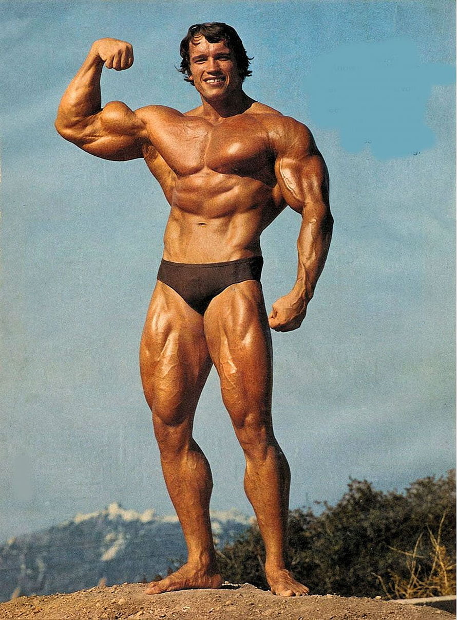 Arnold Schwarzenegger Classic Bodybuilding Pose on Rocky Outcrop HD phone wallpaper