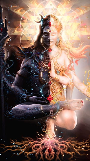 Ardhanarishvara: Lord Shiva and Parvati in Dual Meditation with Chakra Energy HD phone wallpaper