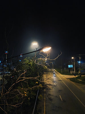 Solitary motorcycle rider on a dimly lit urban road at night with bare tree branches HD phone wallpaper