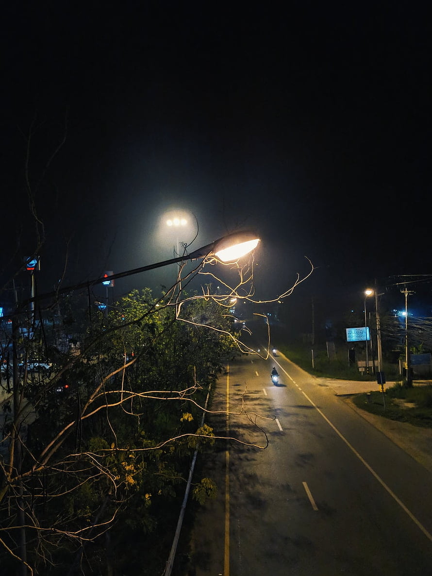 Solitary motorcycle rider on a dimly lit urban road at night with bare tree branches HD phone wallpaper