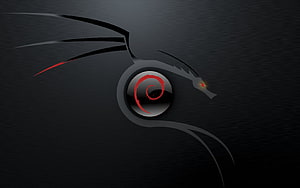 Kali Linux Nethunter Dragon Eye Logo on Dark Brushed Metal Background HD wallpaper
