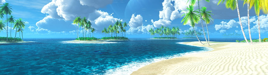 Tropical Island Beach Panorama With Palm Trees And Turquoise Ocean Water HD wallpaper