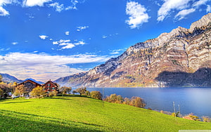 Swiss Alpine Lake Landscape with Traditional Chalets and Green Pastures HD wallpaper