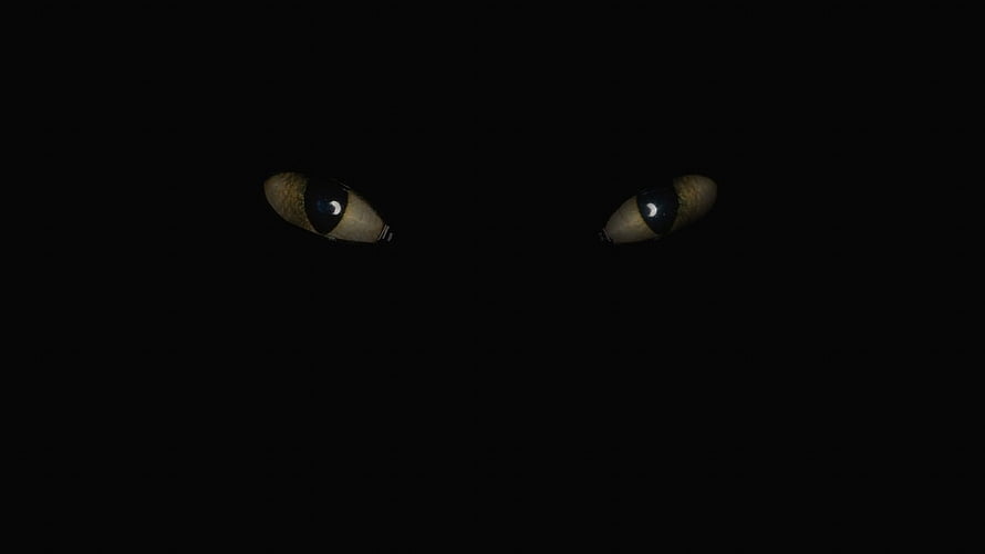 Mysterious Glowing Cat Eyes Peering Out From Pitch Black Darkness HD wallpaper
