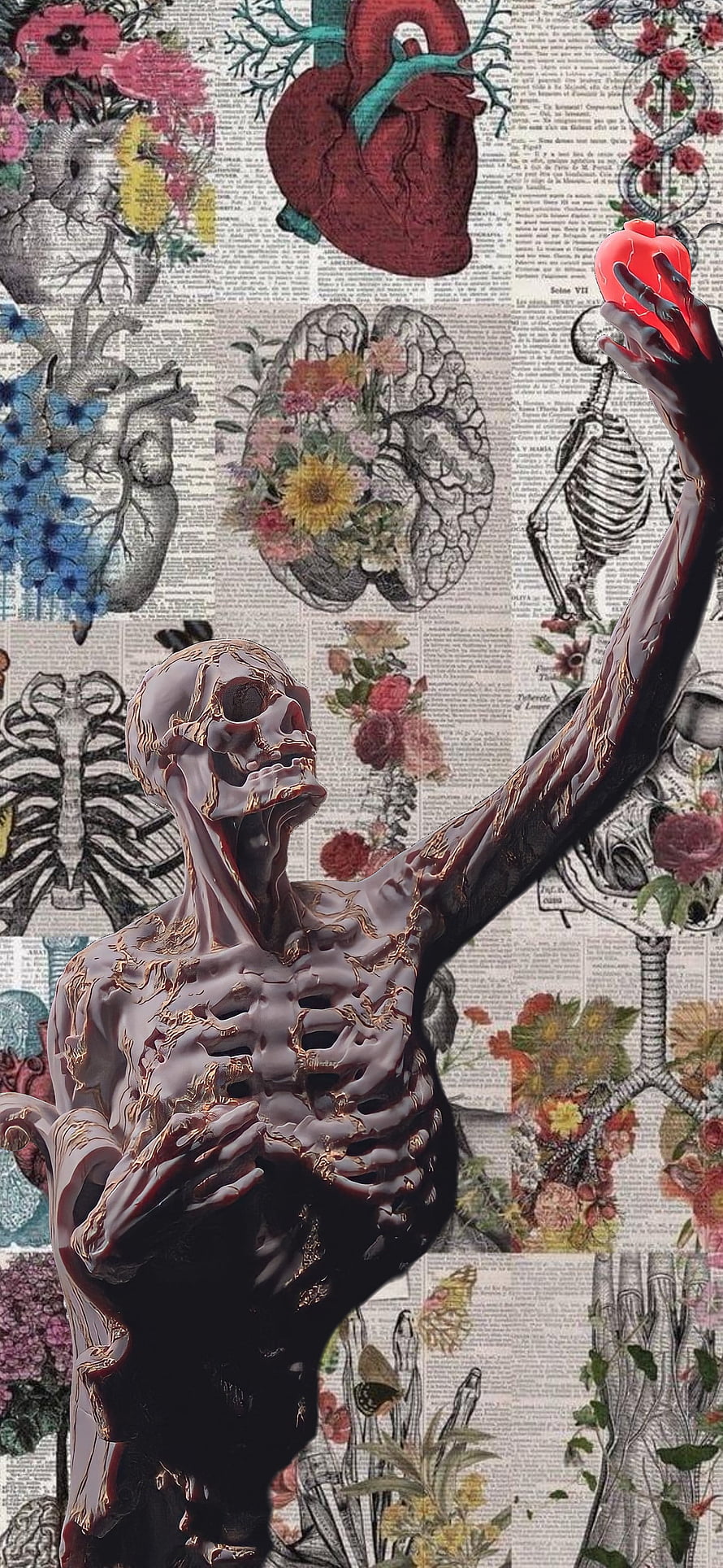 Gothic Skeleton Holding Red Heart Over Vintage Anatomical Illustrations and Botanical Prints HD phone wallpaper