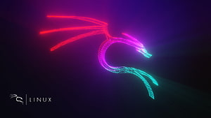 Kali Linux Neon Wireframe Dragon Logo on Dark Purple Background HD wallpaper