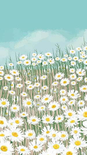 Illustrated Field of White Daisies Under a Soft Blue Sky HD phone wallpaper
