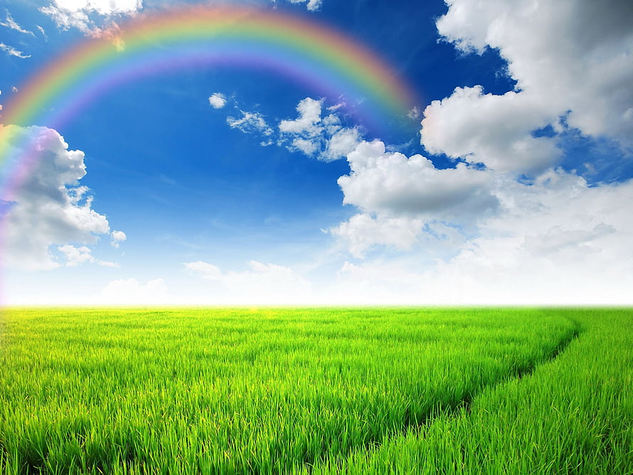 Vibrant Rainbow Arching Over Lush Green Meadow Under Bright Blue Sky HD wallpaper