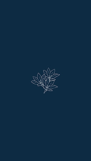 Minimalist White Line Art Flower Illustration on Dark Navy Blue Background HD phone wallpaper