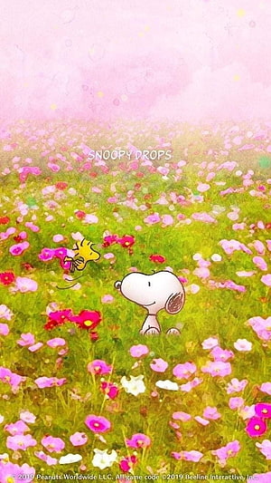 Snoopy and Woodstock in a Dreamy Spring Flower Field HD phone wallpaper