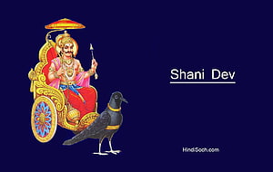 Shani Dev Seated on Ornate Golden Chariot with Black Crow on Deep Blue Background HD wallpaper