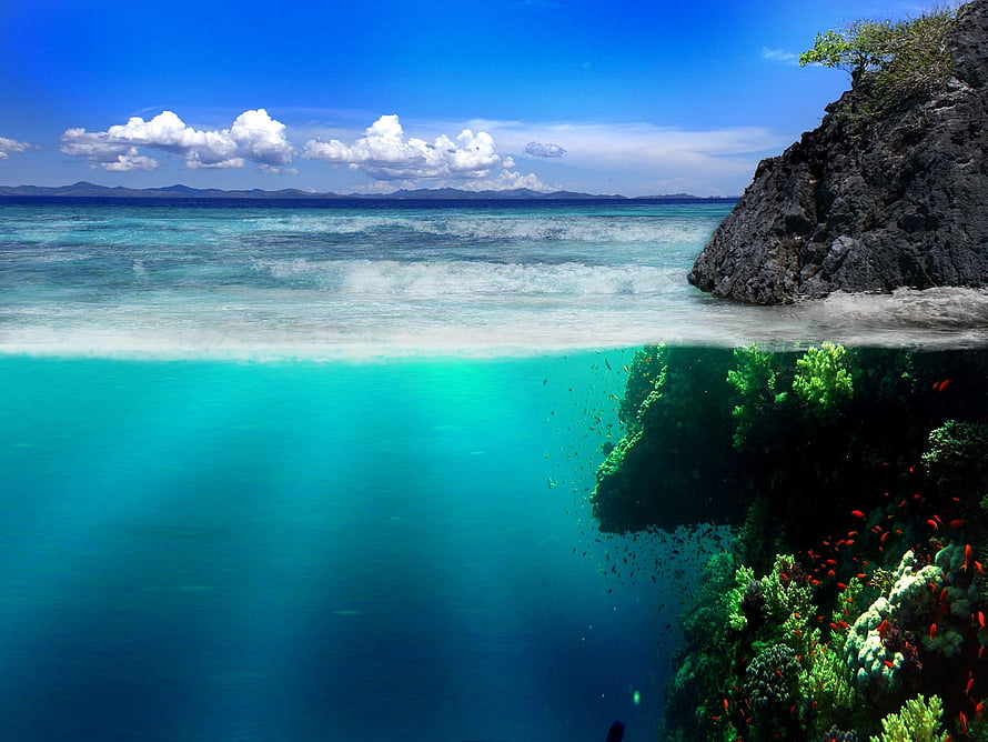 Split-level tropical seascape with rocky cliff, turquoise water, and vibrant coral reef HD wallpaper
