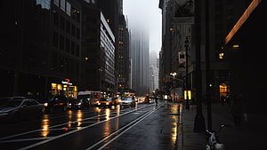 Moody Rainy Street Scene in New York City with Wet Asphalt and City Lights HD wallpaper