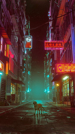 Cyberpunk Chinatown Alley at Night with Lone Dog and Neon Signs HD phone wallpaper