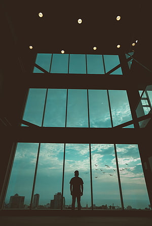 Man Silhouette Standing in Modern Glass Atrium with City Skyline and Birds HD phone wallpaper