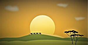 Silhouette of a camel caravan crossing a green hill under a large setting sun with acacia trees HD wallpaper