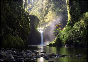 Mossy Forest Gorge With Waterfall And Sunbeams Over Calm Pool HD wallpaper