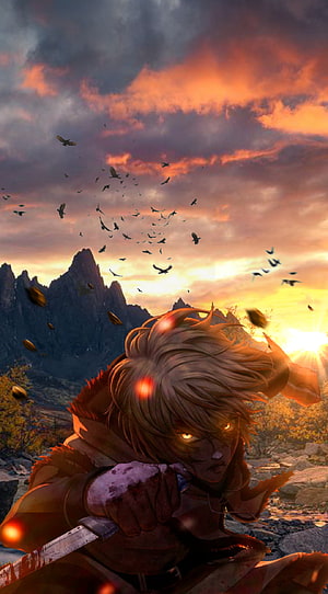 Thorfinn from Vinland Saga gripping a sword against a dramatic sunset sky with birds and mountains HD phone wallpaper