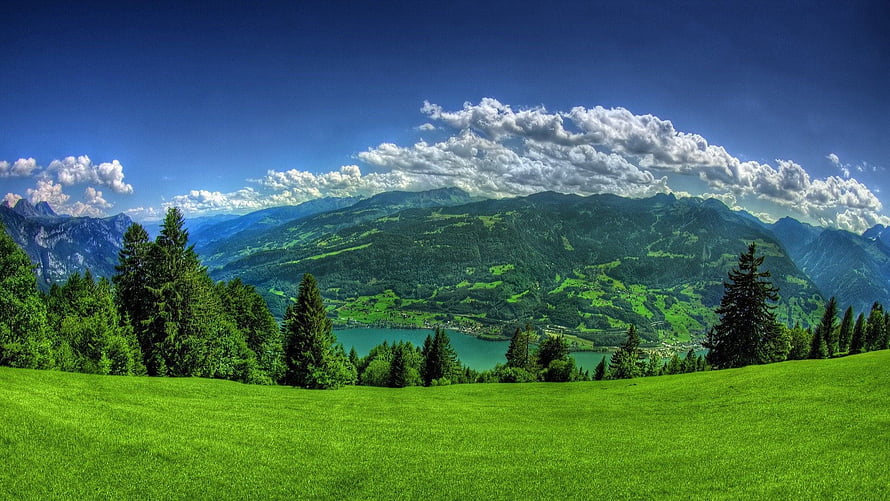 Vibrant Alpine Meadow with Turquoise Lake and Forested Mountains Under a Blue Sky HD wallpaper