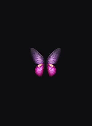 Minimalist Pink and Purple Butterfly on Black Background HD phone wallpaper