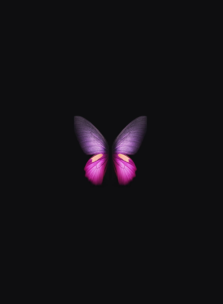 Minimalist Pink and Purple Butterfly on Black Background HD phone wallpaper