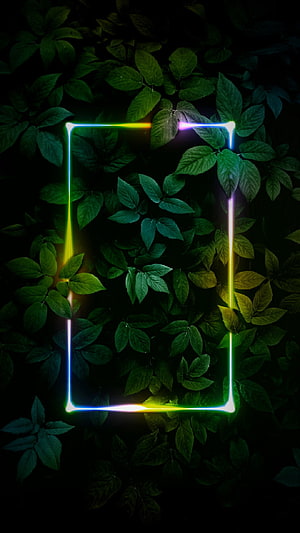 Neon Rectangle Frame Over Dark Green Foliage Background HD phone wallpaper