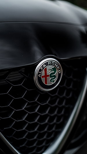 Close-up of the Alfa Romeo badge on a black honeycomb car grille HD phone wallpaper