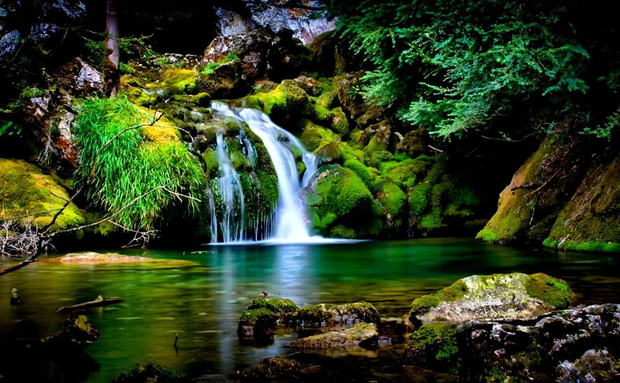 Mossy Forest Waterfall Cascading Into a Turquoise Pool Surrounded by Lush Greenery HD wallpaper