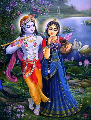 Radha and Krishna Walking Together in a Lotus Pond with Peacock and Swans HD phone wallpaper