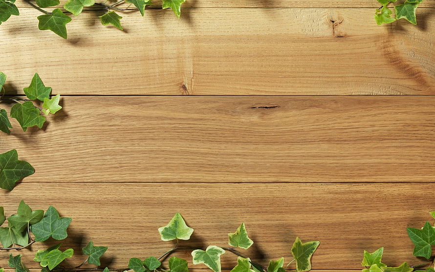 Rustic Wooden Plank Surface Framed by Fresh Green Ivy Leaves HD wallpaper