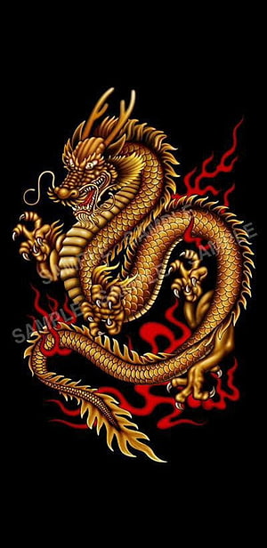 Golden Chinese Dragon Coiled with Red Flames on Black Background HD phone wallpaper