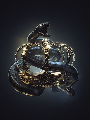 Ornate Golden Crown Entwined with a Coiled Black Snake on a Dark Background HD phone wallpaper