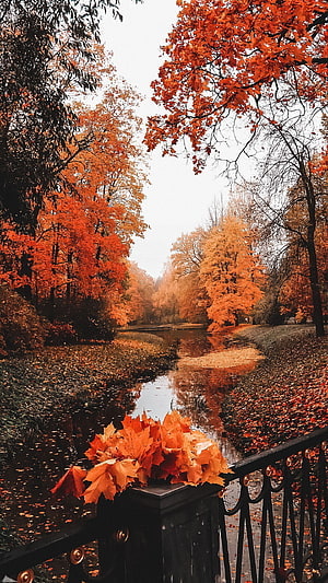 Vibrant Autumn Foliage Lining a Serene Park Canal with Fallen Leaves on a Bridge Railing HD phone wallpaper