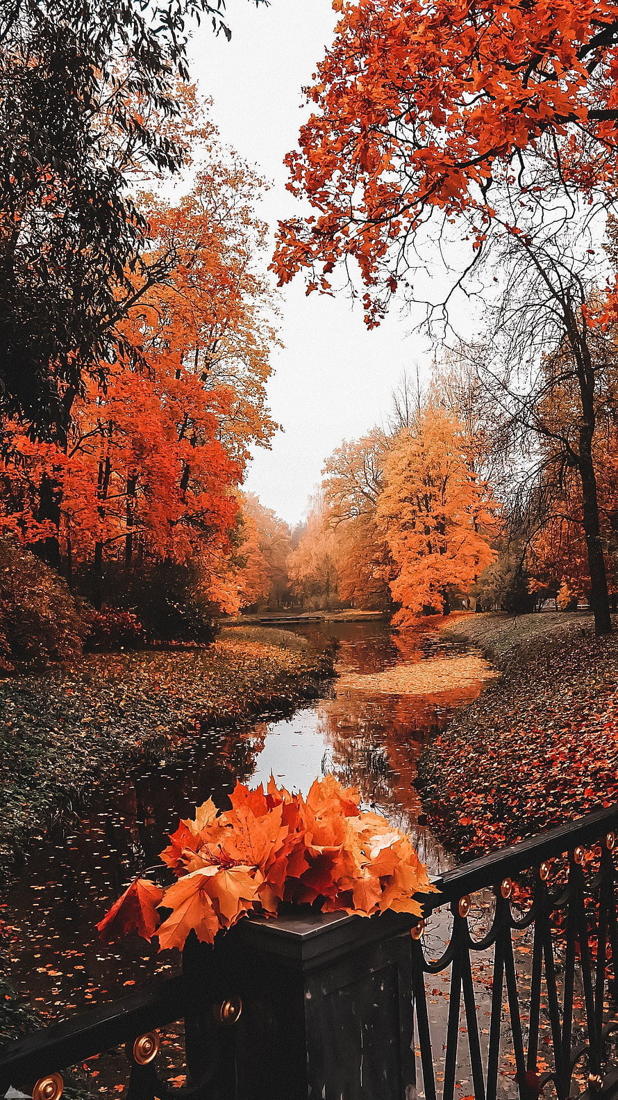 Vibrant Autumn Foliage Lining a Serene Park Canal with Fallen Leaves on a Bridge Railing HD phone wallpaper
