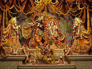 ISKCON Krishna and Radha Temple Deities Adorned in Marigold Garlands and Gold Silks HD wallpaper