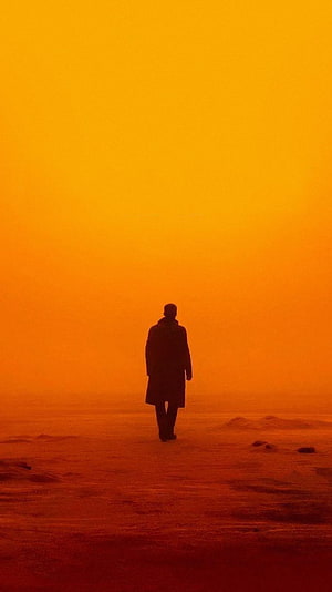 Blade Runner 2049 Silhouette Walking Through Orange Haze HD phone wallpaper