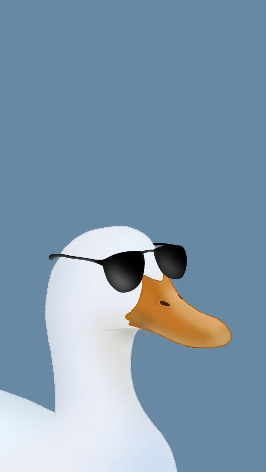 Cool White Duck Wearing Black Sunglasses on a Solid Blue Background HD phone wallpaper