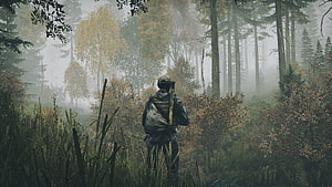 DayZ Standalone Soldier in Misty Autumn Forest HD wallpaper