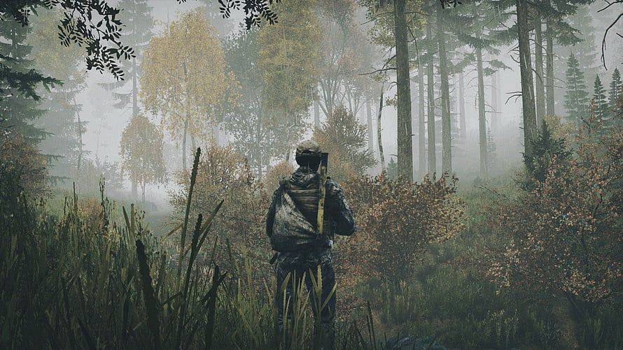 DayZ Standalone Soldier in Misty Autumn Forest HD wallpaper