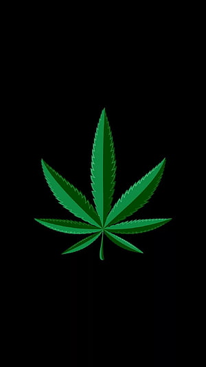 Minimalist Green Cannabis Leaf Icon on Black Background HD phone wallpaper