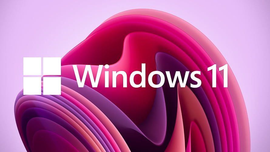 Windows 11 Purple Bloom Abstract Desktop Background HD wallpaper