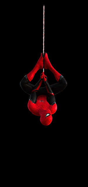 Spider-Man Hanging Upside Down on Web Against Black Background, Spiderman on Black for the Note 10/: Note10, Spiderman Punch Hole HD phone wallpaper
