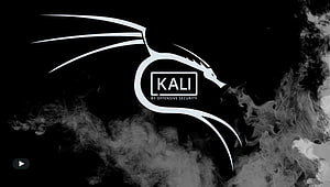 Kali Linux Dragon Logo with Smoke Effect on Black Background HD wallpaper