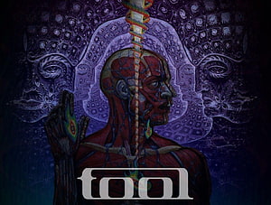 Tool Band Artwork Featuring Anatomical Human Profile and Ornate Purple Background HD wallpaper