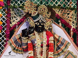 Banke Bihari Ji Temple Idol Adorned in Gold Jewelry and Floral Garlands HD wallpaper