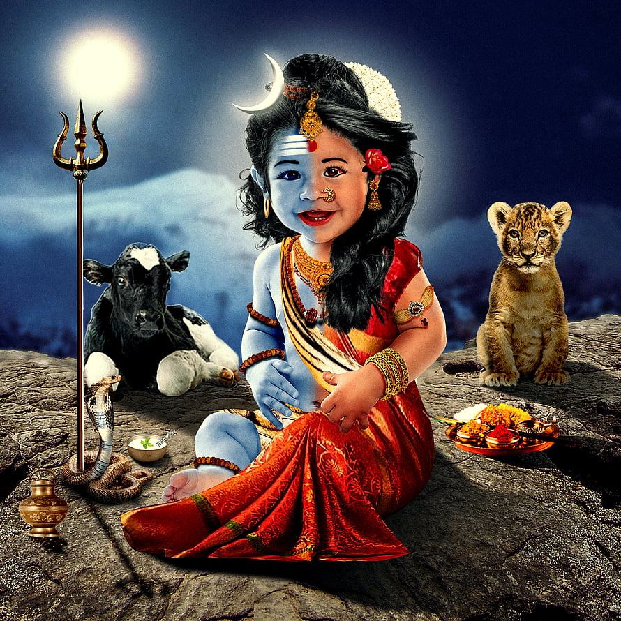 Ardhnarishwar Baby Shiva with Nandi and Lion on Rocky Mountain HD phone wallpaper